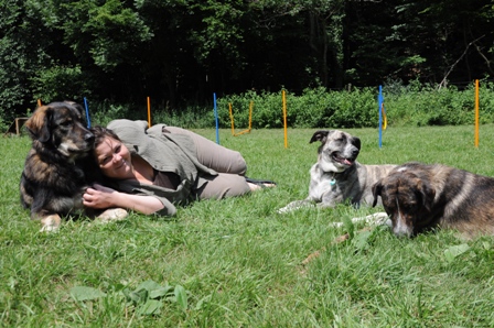 Meine Hunde und Ich