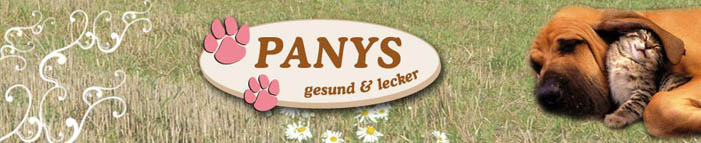 Panys